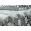 Galvanized Welded Wire Mesh (H-15)